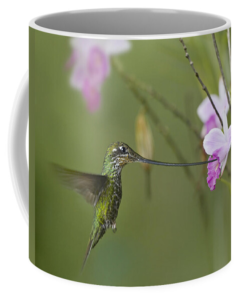 00486960 Coffee Mug featuring the photograph Sword Billed Hummingbird Feeding by Tim Fitzharris