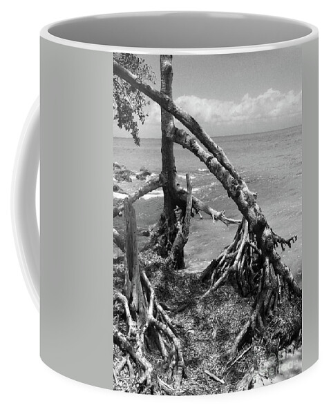 Trees Coffee Mug featuring the photograph Tapacula in BW by Kathy McClure