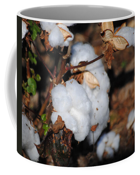 Brown Coffee Mug featuring the photograph Tennessee Cotton II by Jai Johnson