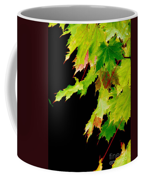 Maple Coffee Mug featuring the photograph The Beginning Of Change by Rory Siegel
