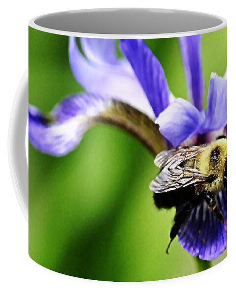  Bumble Bee With Pollen Coffee Mug featuring the photograph Bumble Bee with pollen and Iris flower by Marysue Ryan