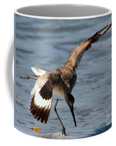 Cape Hatteras National Seashore Coffee Mug featuring the photograph The Dinner Dance by Adam Jewell