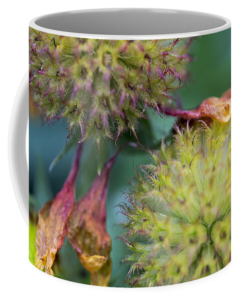 2012 Coffee Mug featuring the photograph The End of Summer by Susan Stone