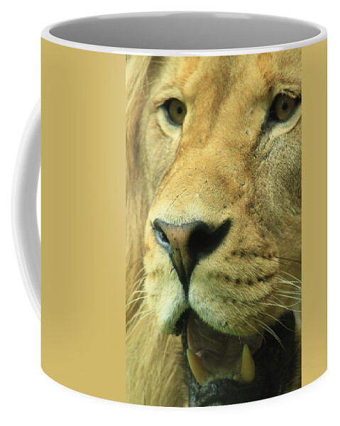God Coffee Mug featuring the photograph The Face of God by Laddie Halupa