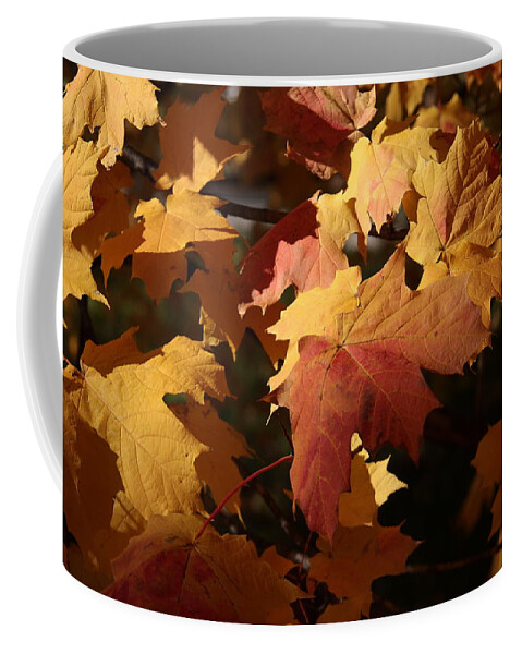 Leaf Coffee Mug featuring the photograph The Golden Days of October by Lyle Hatch