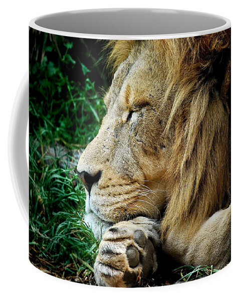 Lion Coffee Mug featuring the photograph The Lions Sleeps by Michelle Wrighton
