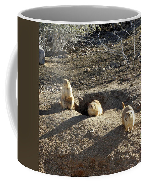 Prarie Coffee Mug featuring the photograph The Three Stooges by Kim Galluzzo Wozniak