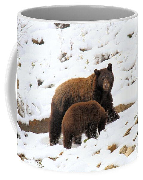 Black Bears Coffee Mug featuring the photograph The Winter Guide by Adam Jewell
