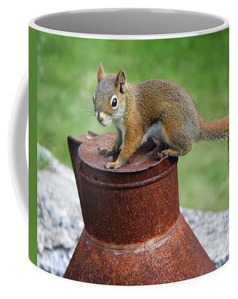 Squirrel Coffee Mug featuring the photograph They Call Me Rusty by Jeff Galbraith