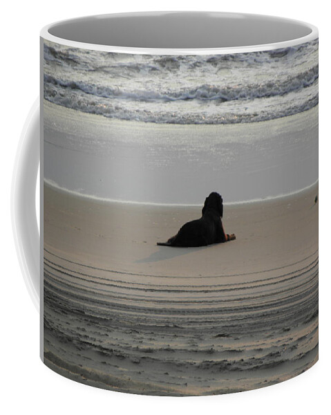 Dog Coffee Mug featuring the photograph This Is The Life by Kim Galluzzo