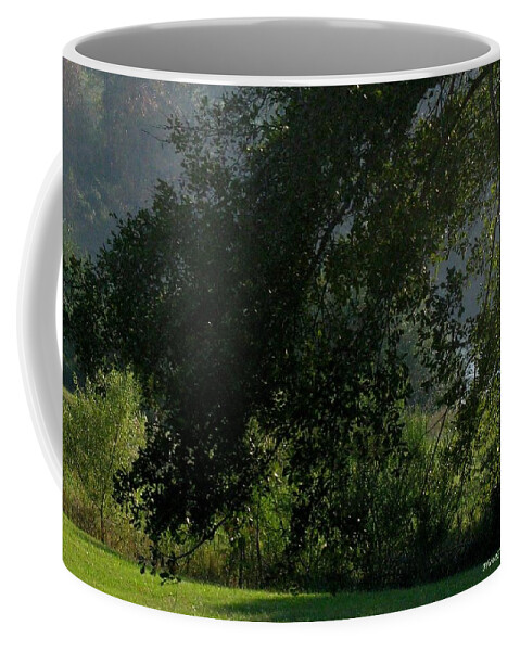 Greens Coffee Mug featuring the photograph This Ole Tree by Maria Urso