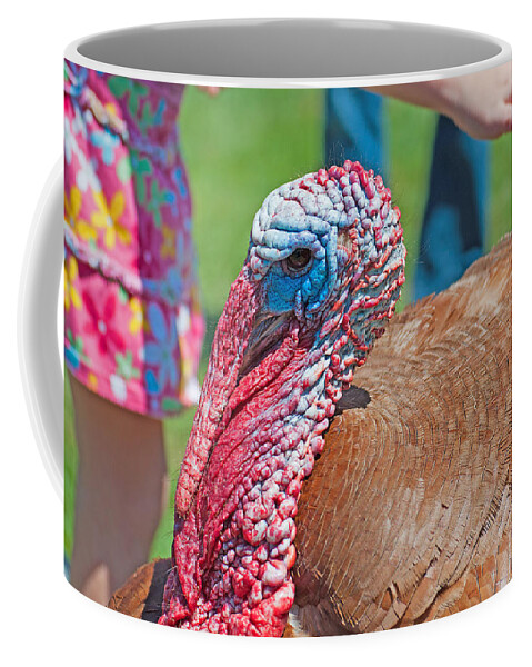 Wildlife Coffee Mug featuring the photograph Thomas the Turkey by Kenneth Albin