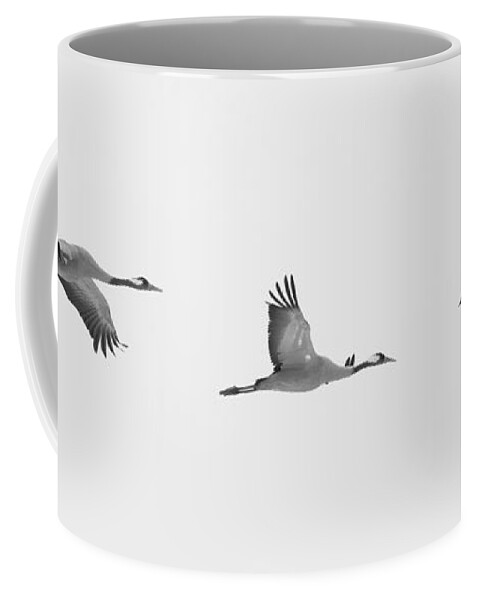 Common Crane Coffee Mug featuring the photograph Three flying cranes by Ulrich Kunst And Bettina Scheidulin