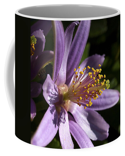 Flora Coffee Mug featuring the photograph Thrive by Joe Schofield