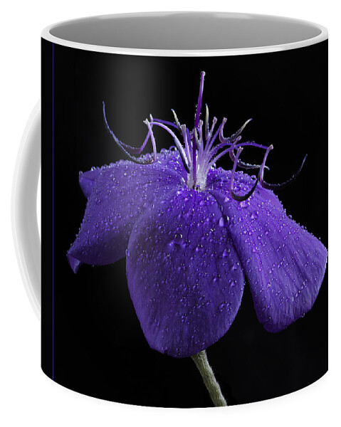 Flower Coffee Mug featuring the photograph Tibuchina by Jean Noren