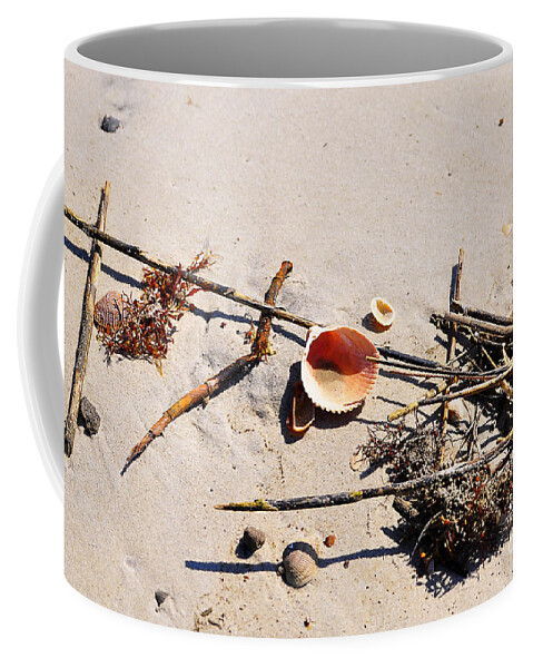 Beach Shells Coffee Mug featuring the photograph Tidal Treasures by Al Powell Photography USA