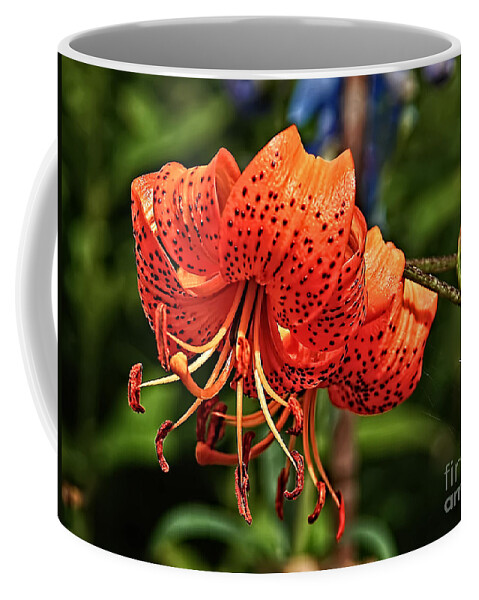 Flowers Coffee Mug featuring the photograph Tiger Lily by Elaine Manley