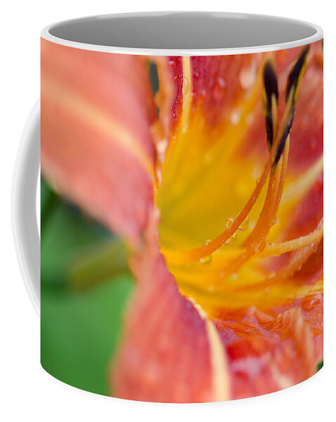 Raindrops Coffee Mug featuring the photograph Tiger Lily Rain by Margaret Pitcher