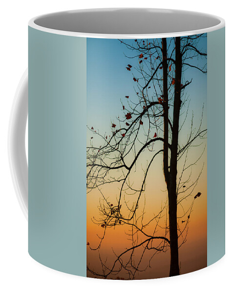 Landscape Coffee Mug featuring the photograph To The Morning by Joye Ardyn Durham