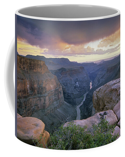 00176678 Coffee Mug featuring the photograph Toroweap Overlook With A View by Tim Fitzharris