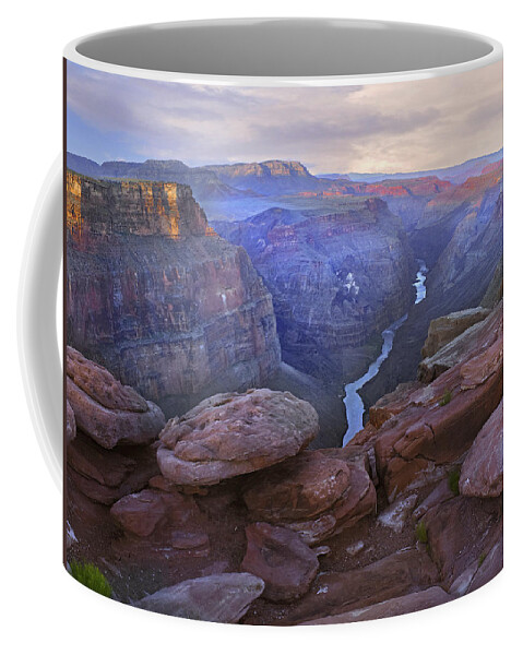 00175981 Coffee Mug featuring the photograph Toroweep Overlook View Of The Colorado by Tim Fitzharris