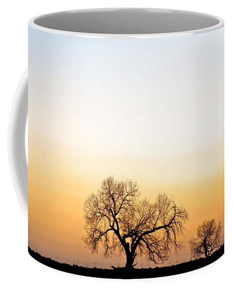 'boulder County' Coffee Mug featuring the photograph Tree Harmony by James BO Insogna