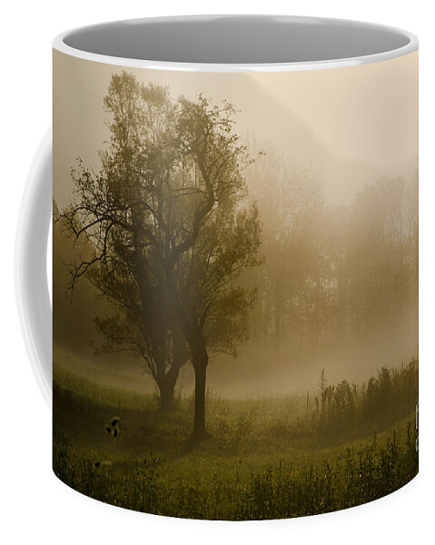 Trees Coffee Mug featuring the photograph Trees and fog by Mats Silvan