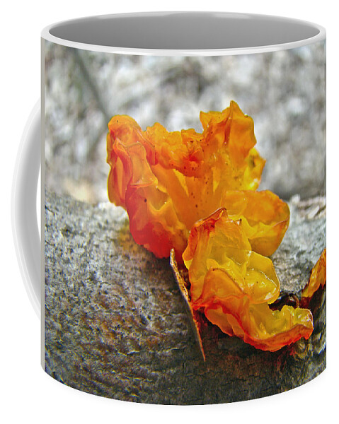 Mushroom Coffee Mug featuring the photograph Tremella mesenterica - Orange Brain Fungus by Carol Senske
