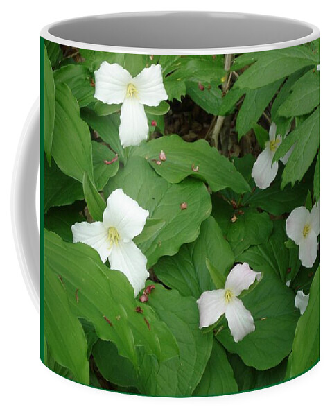 Flower Coffee Mug featuring the photograph Trilliums-I by Patricia Overmoyer