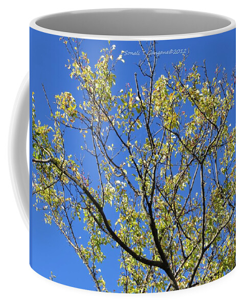 Green Aginst Blue Coffee Mug featuring the photograph Tryst with blue sky by Sonali Gangane