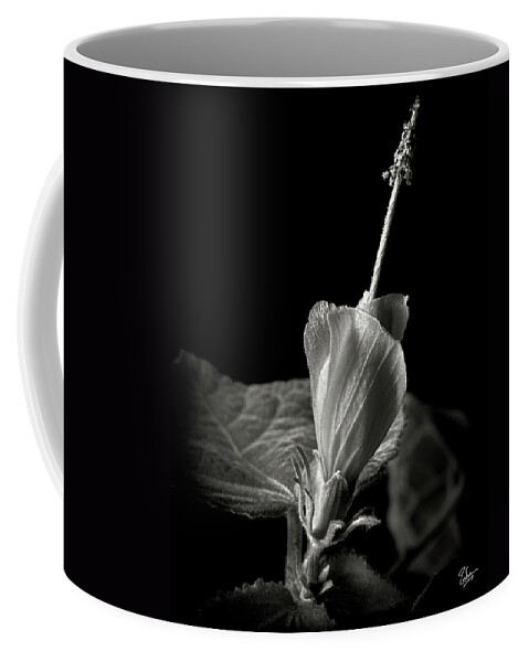 Flower Coffee Mug featuring the photograph Turk's Cap in Black and White by Endre Balogh