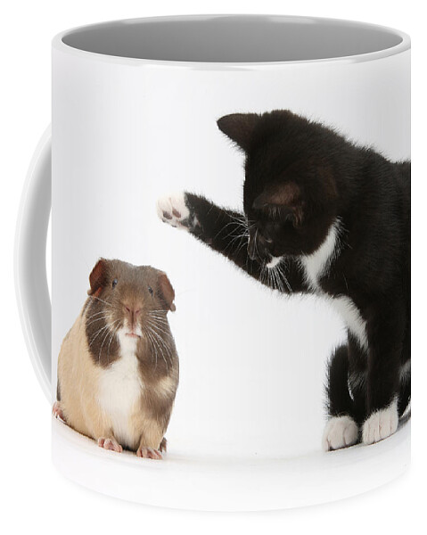 Nature Coffee Mug featuring the photograph Tuxedo Kitten With Guinea Pig by Mark Taylor