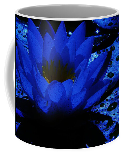 Water Lily Coffee Mug featuring the photograph Twilight by Barbara St Jean