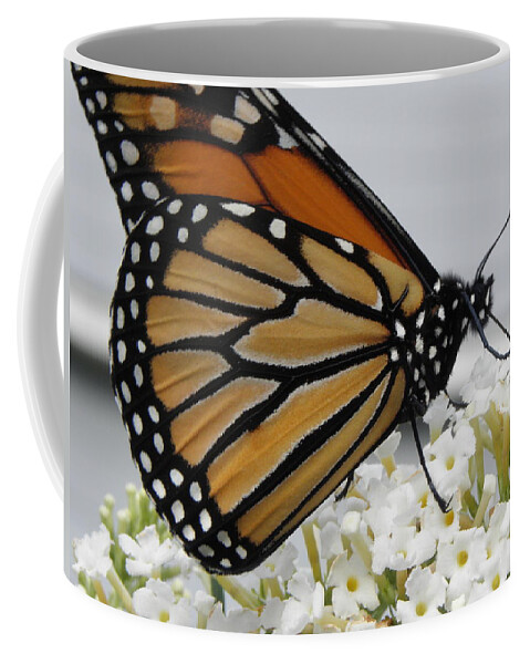 Monarch Coffee Mug featuring the photograph Up Close And Personal by Kim Galluzzo Wozniak