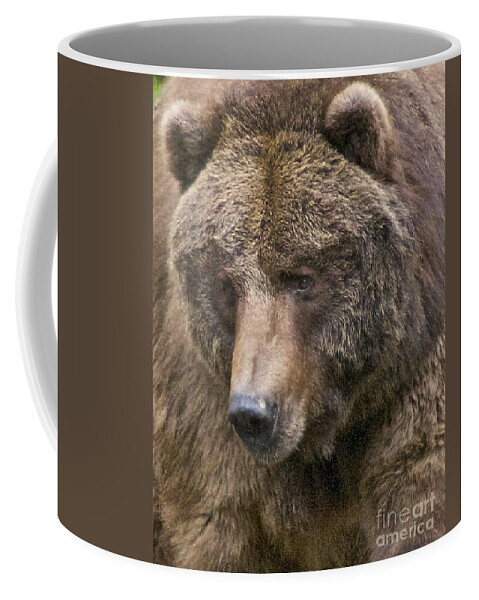 Photography Coffee Mug featuring the photograph Ursa Major by Sean Griffin