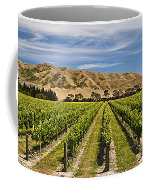 00439957 Coffee Mug featuring the photograph Vineyard In Lower Awatere Valley New by Colin Monteath