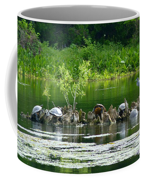 Turtles Coffee Mug featuring the photograph Wakulla Springs Wildlife by Carla Parris