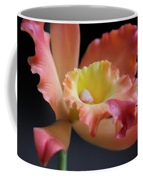 Art Coffee Mug featuring the photograph Warm Bloom I by Kelly Hazel