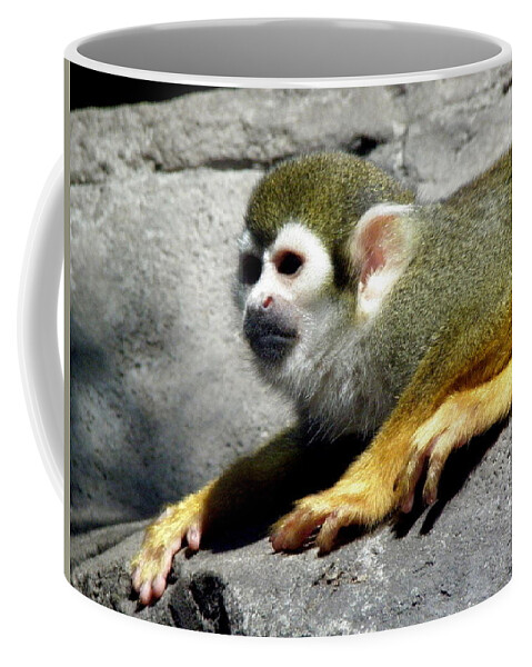 Monkey Coffee Mug featuring the photograph Watching Over by Kim Galluzzo Wozniak