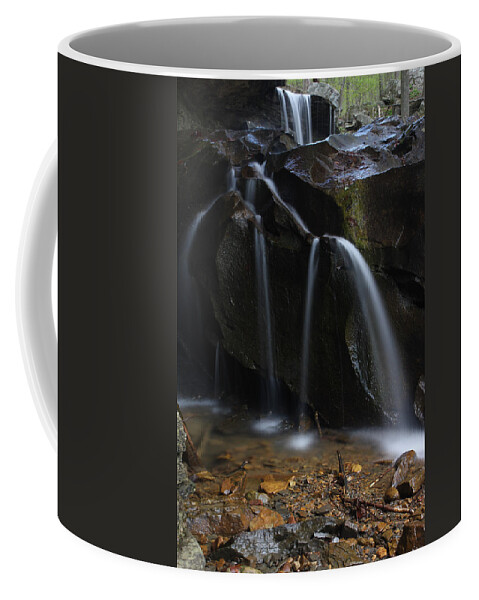 Water Coffee Mug featuring the photograph Waterfall On Emory Gap Branch by Daniel Reed