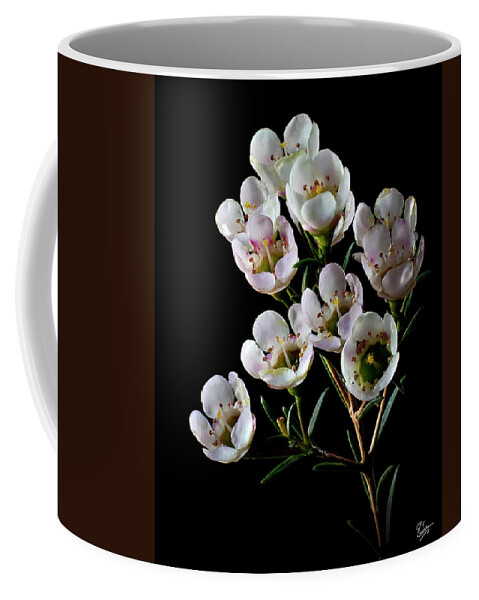 Flower Coffee Mug featuring the photograph Wax Flowers by Endre Balogh