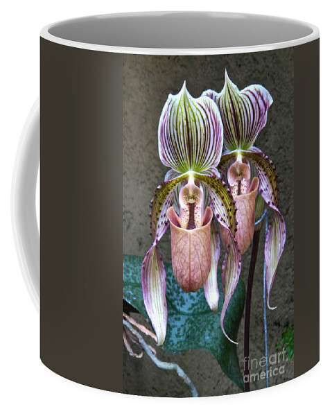 Slipper Orchids Coffee Mug featuring the photograph We Are Siamese If You Please by Byron Varvarigos