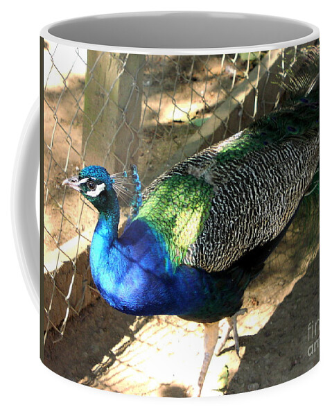 Peacock Coffee Mug featuring the photograph What's Out There? by Rory Siegel