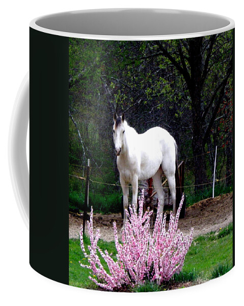 White Horse Coffee Mug featuring the photograph White Beauty beyond pink by Kim Galluzzo