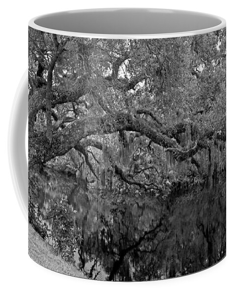 Tree Coffee Mug featuring the photograph White City Oak Pano by Larry Nieland