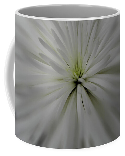 White Flower Coffee Mug featuring the photograph White Glow by Kim Galluzzo