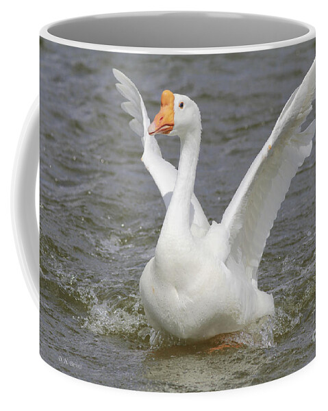 Goose Coffee Mug featuring the photograph White Goose by Deborah Benoit