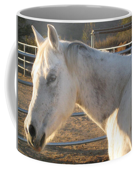 Horse Coffee Mug featuring the photograph White Horse by Sue Halstenberg