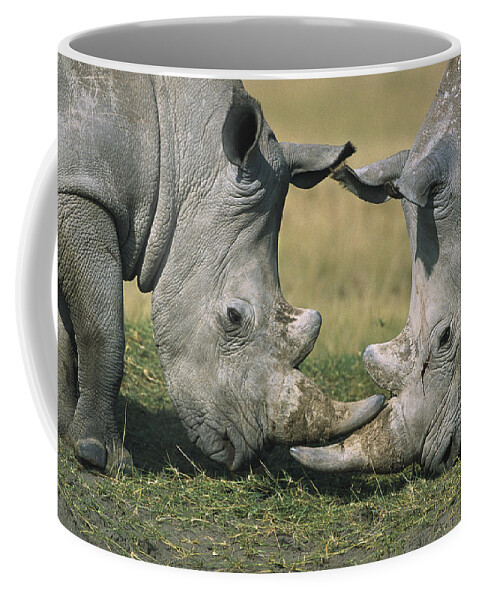 Flpa Coffee Mug featuring the photograph White Rhinoceros Ceratotherium Simum by Martin Withers