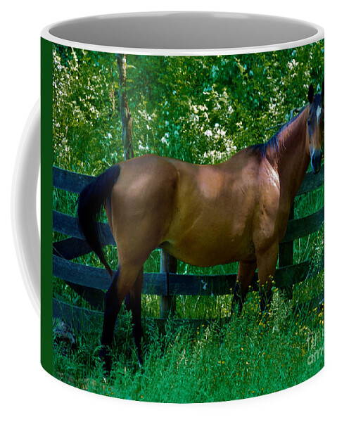 Horse Coffee Mug featuring the photograph Who you looking at by Mark Dodd